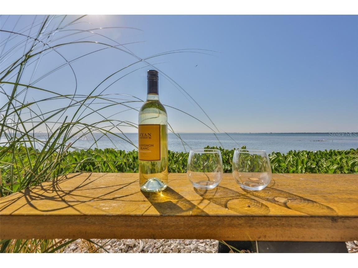 2158 Blossom Way S Saint Petersburg FL 33712 TB8445146 image65