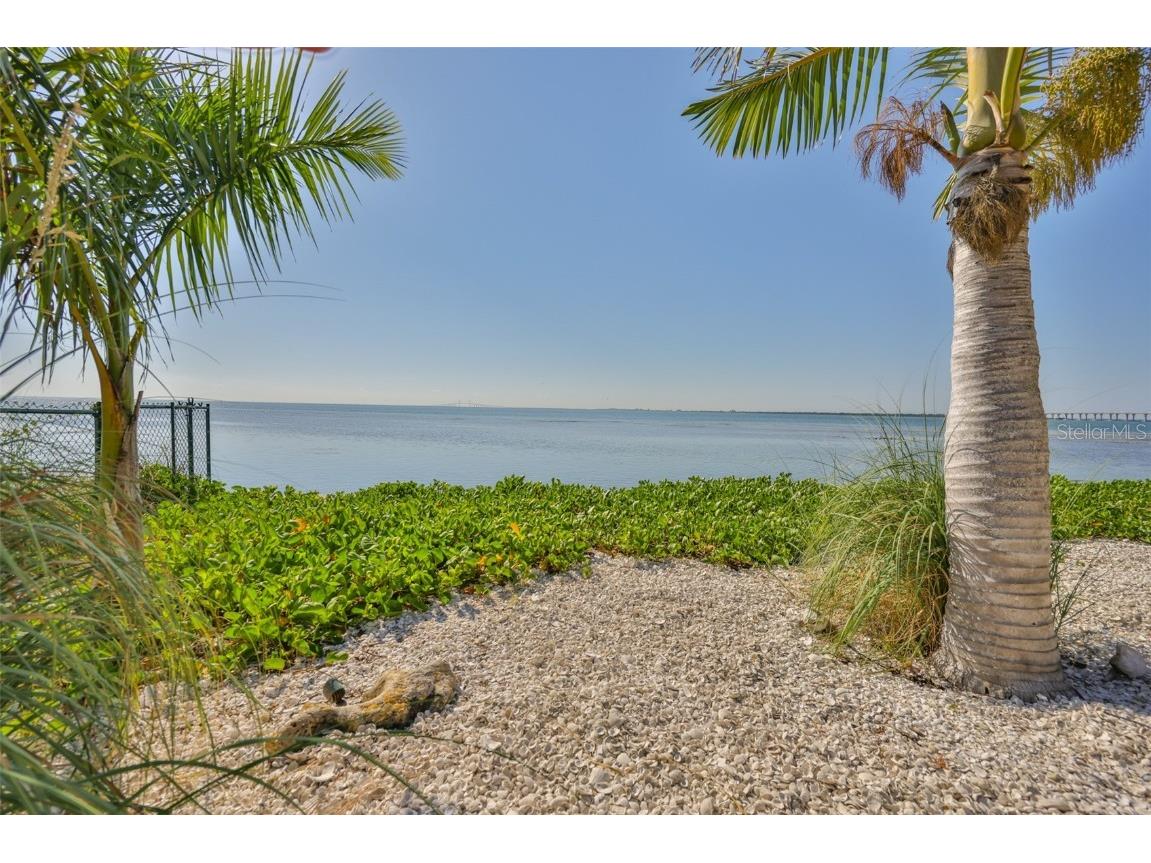 2158 Blossom Way S Saint Petersburg FL 33712 TB8445146 image66