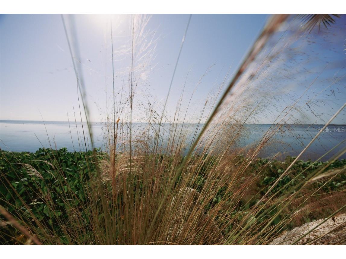 2158 Blossom Way S Saint Petersburg FL 33712 TB8445146 image67