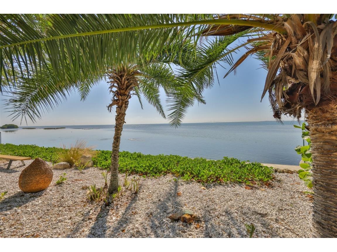 2158 Blossom Way S Saint Petersburg FL 33712 TB8445146 image68