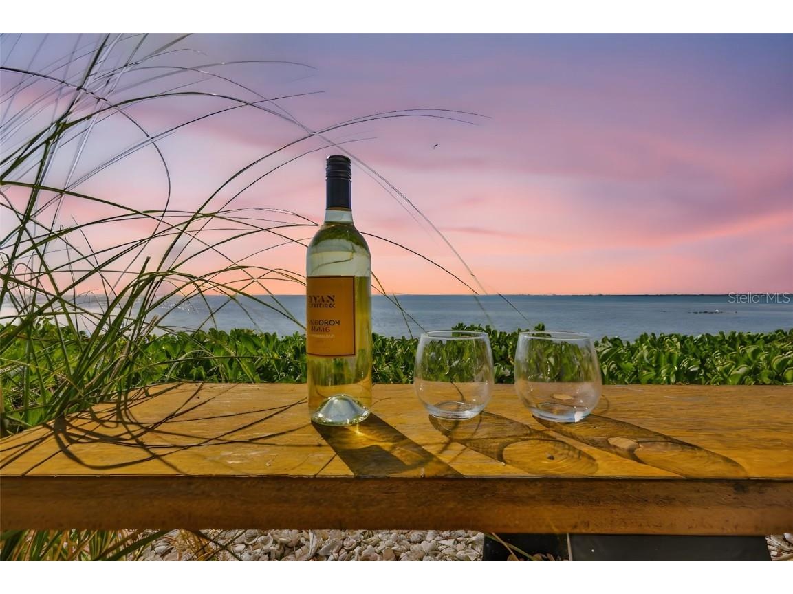 2158 Blossom Way S Saint Petersburg FL 33712 TB8445146 image7