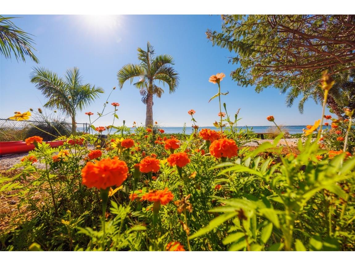 2158 Blossom Way S Saint Petersburg FL 33712 TB8445146 image71