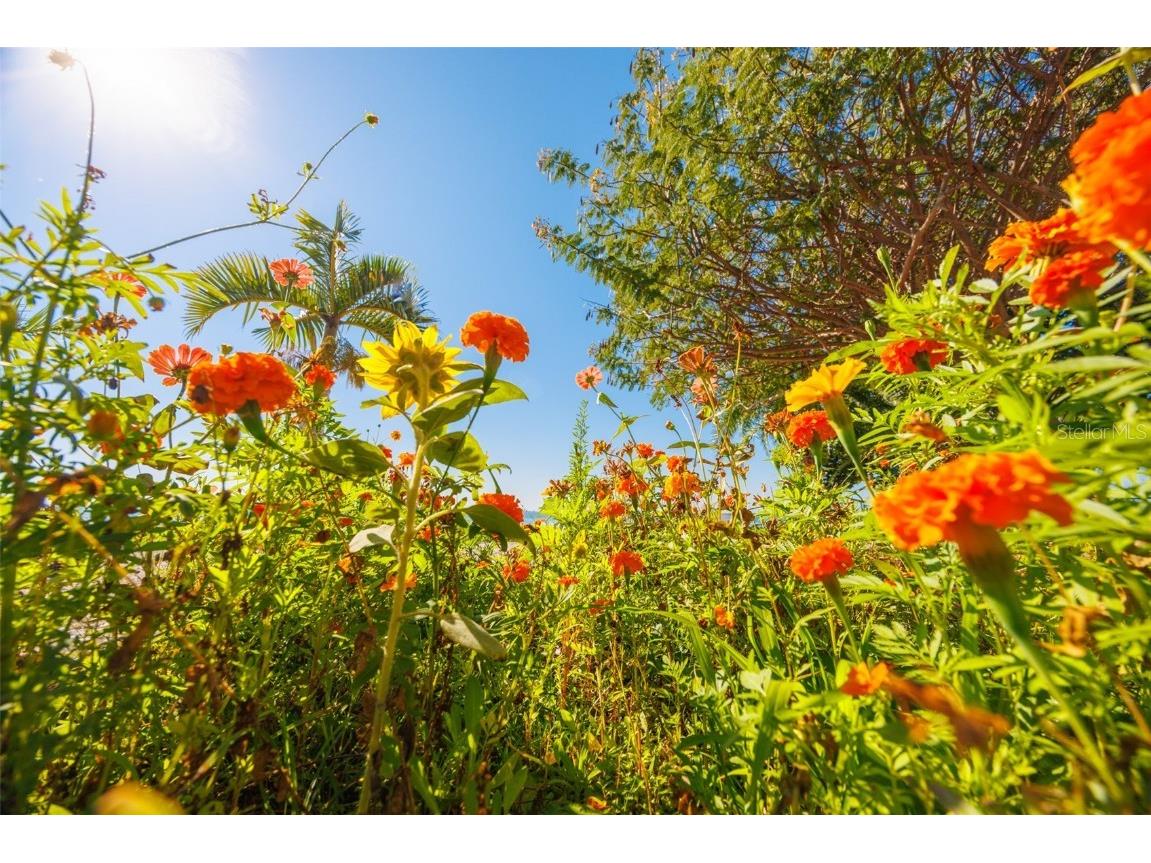 2158 Blossom Way S Saint Petersburg FL 33712 TB8445146 image72