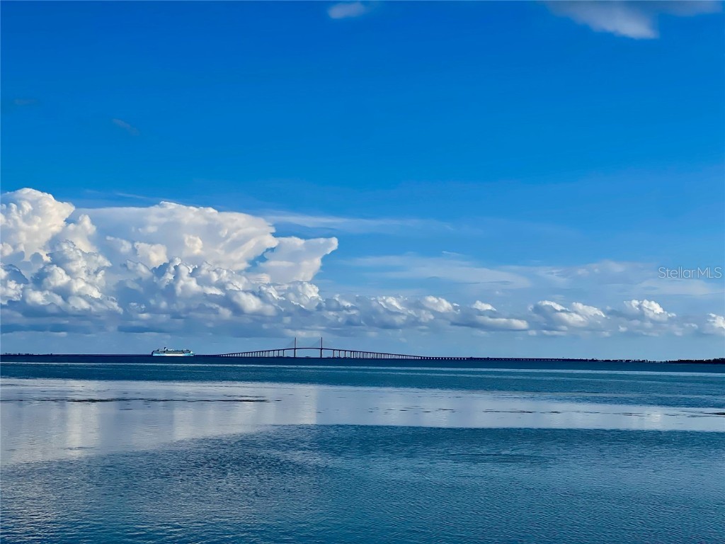 2158 Blossom Way S Saint Petersburg FL 33712 TB8445146 image74