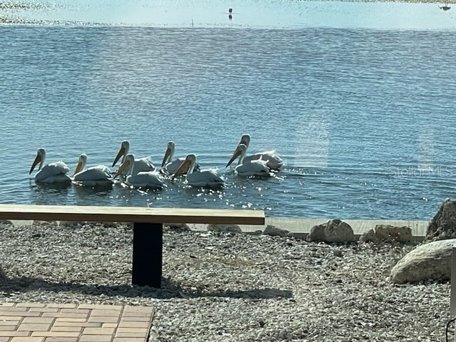 2158 Blossom Way S Saint Petersburg FL 33712 TB8445146 image76