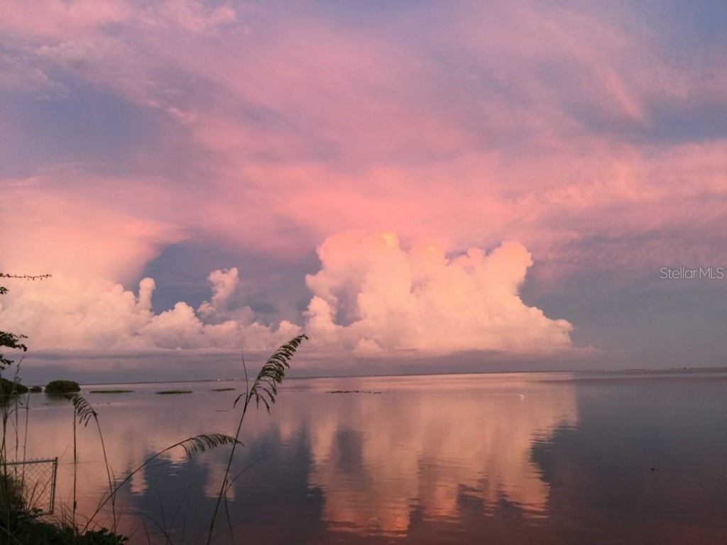 2158 Blossom Way S Saint Petersburg FL 33712 TB8445146 image79