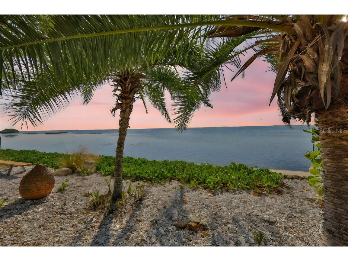 2158 Blossom Way S Saint Petersburg FL 33712 TB8445146 image80