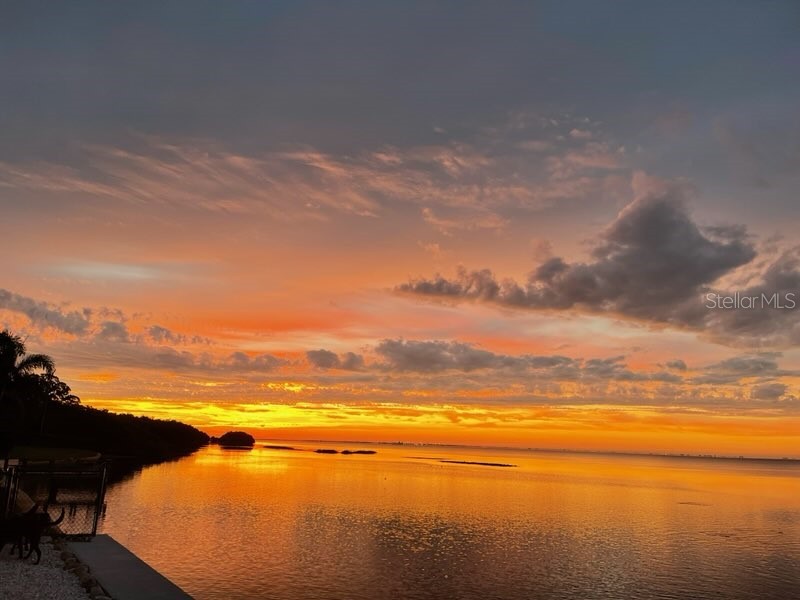 2158 Blossom Way S Saint Petersburg FL 33712 TB8445146 image81