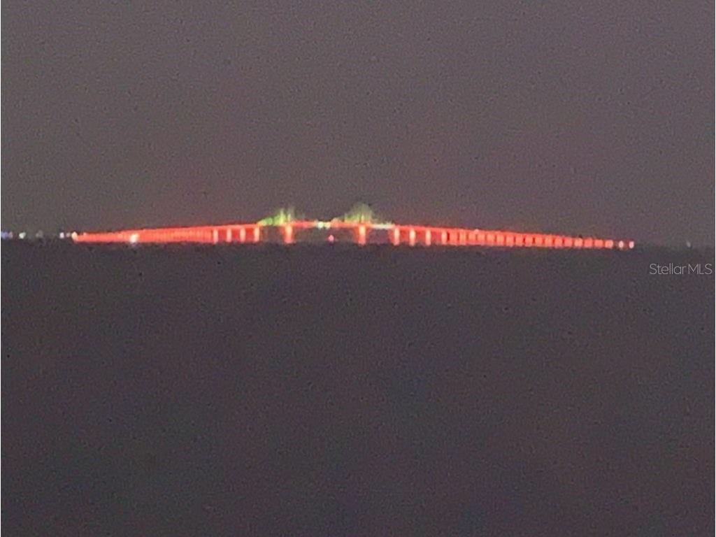 2158 Blossom Way S Saint Petersburg FL 33712 TB8445146 image82