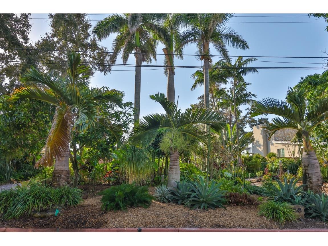 2158 Blossom Way S Saint Petersburg FL 33712 TB8445146 image83