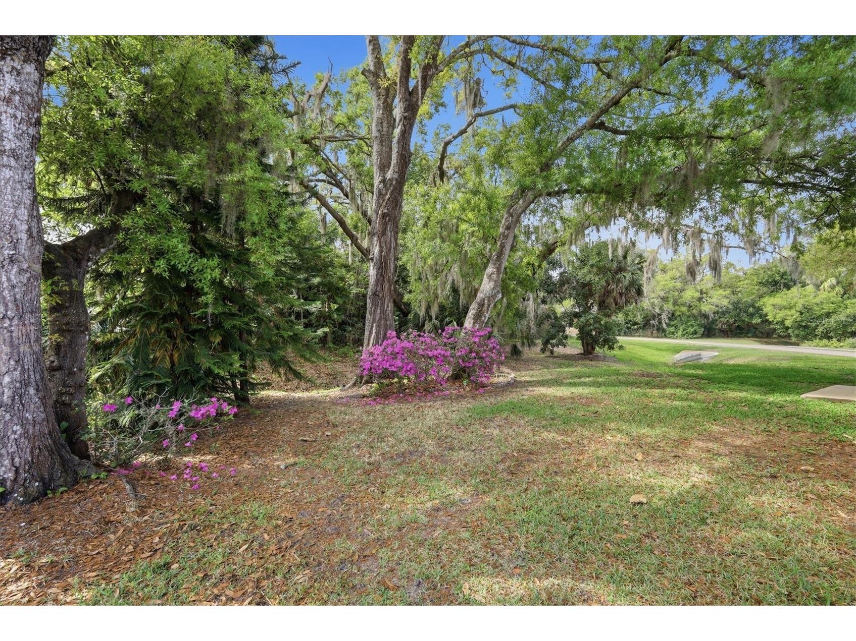 2158 Cork Oak Street Sarasota FL 34232 A4686101 image45
