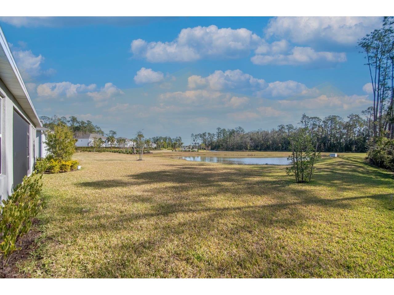 2158 Mizzen Way Wesley Chapel FL 33543 TB8467688 image39