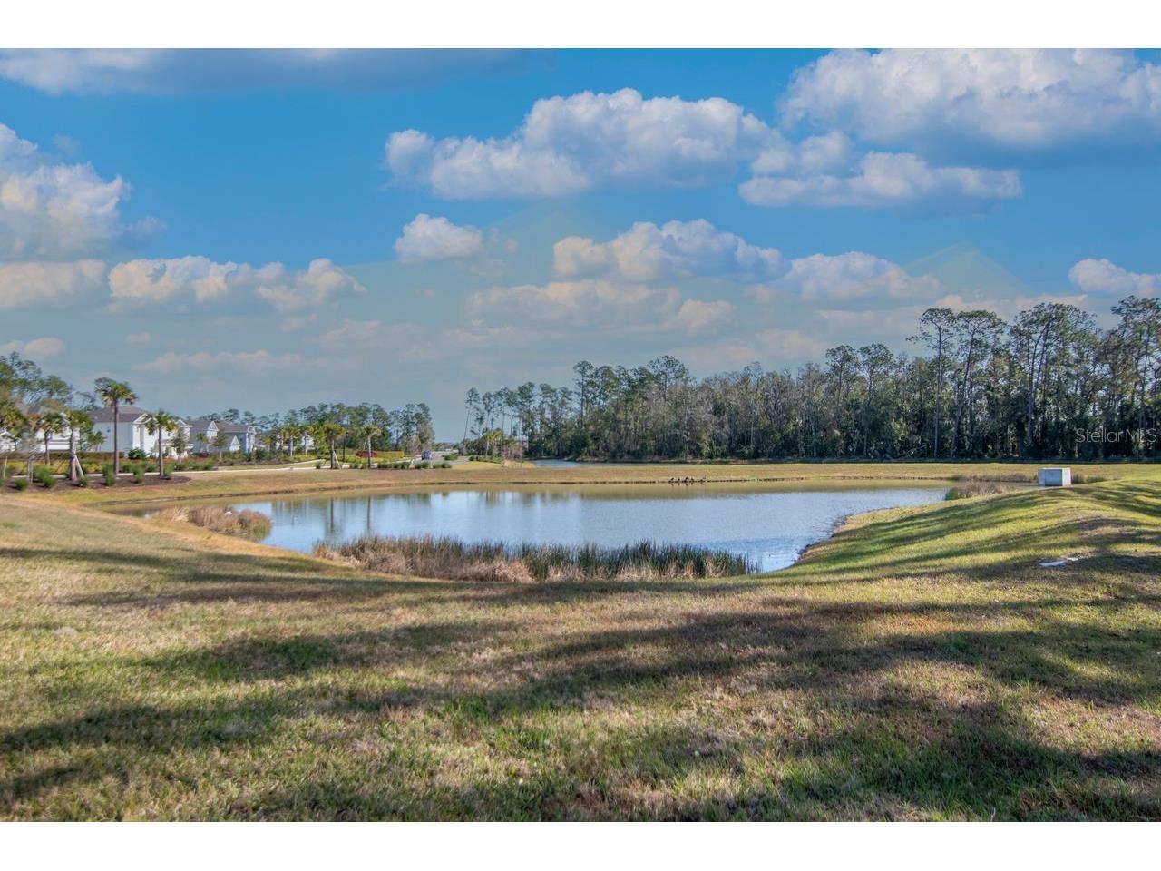 2158 Mizzen Way Wesley Chapel FL 33543 TB8467688 image41