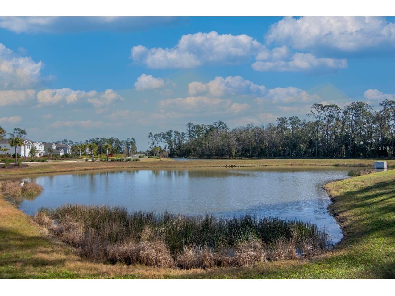 2158 Mizzen Way Wesley Chapel FL 33543 TB8467688 image43