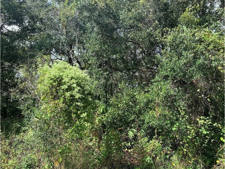 2159 Eastwind Terrace Port Charlotte FL 33953 TB8452650 image3