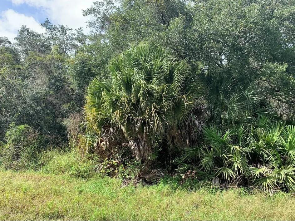 2159 Eastwind Terrace Port Charlotte FL 33953 TB8452650 image5