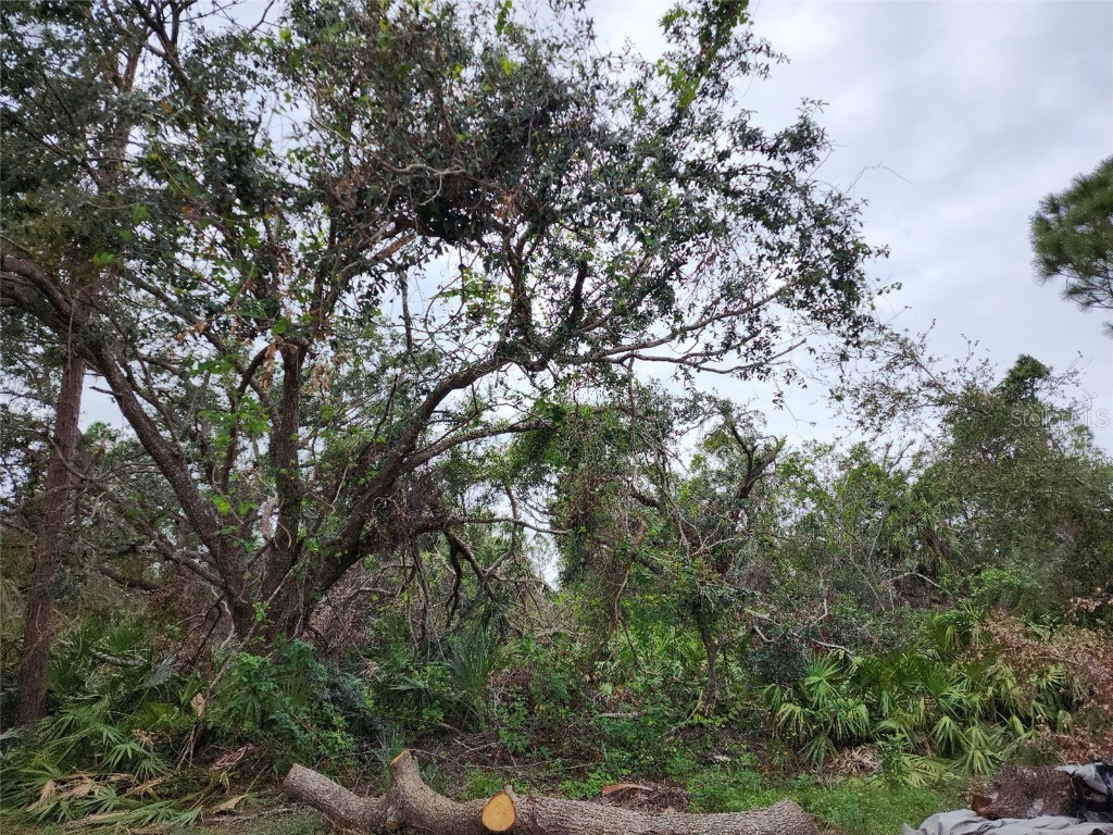 2159 Lucky Street Port Charlotte FL 33948 C7469176 image1