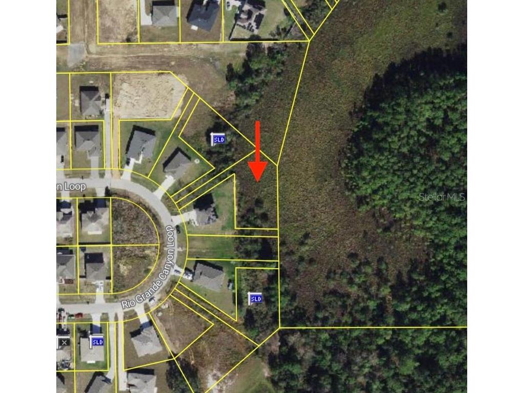 2159 Rio Grande Canyon Loop Poinciana FL 34759 S5139054 image1