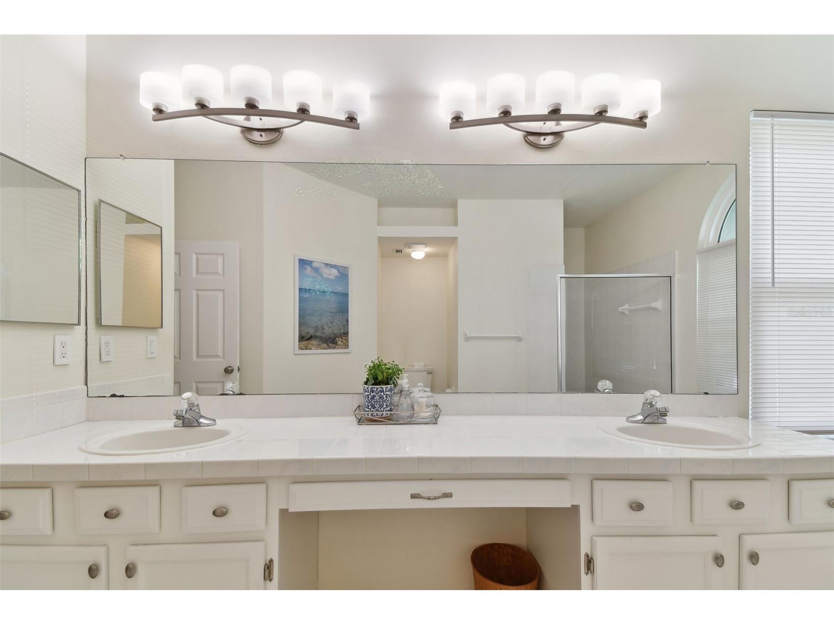 2159 Warwick Drive Oldsmar FL 34677 TB8486224 image29