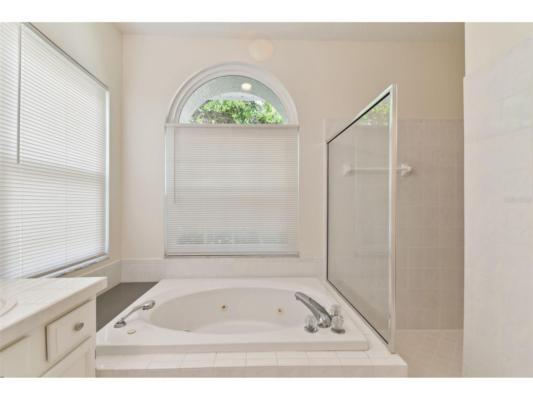 2159 Warwick Drive Oldsmar FL 34677 TB8486224 image30