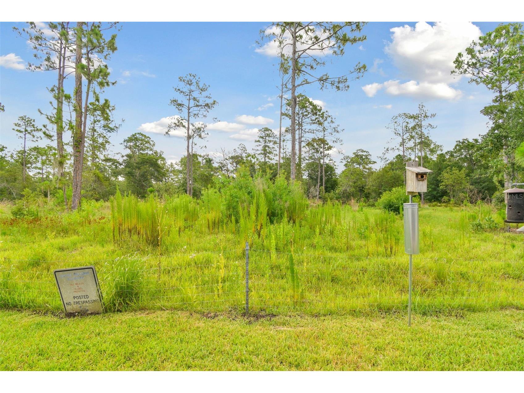 2159 Warwick Drive Oldsmar FL 34677 TB8486224 image37