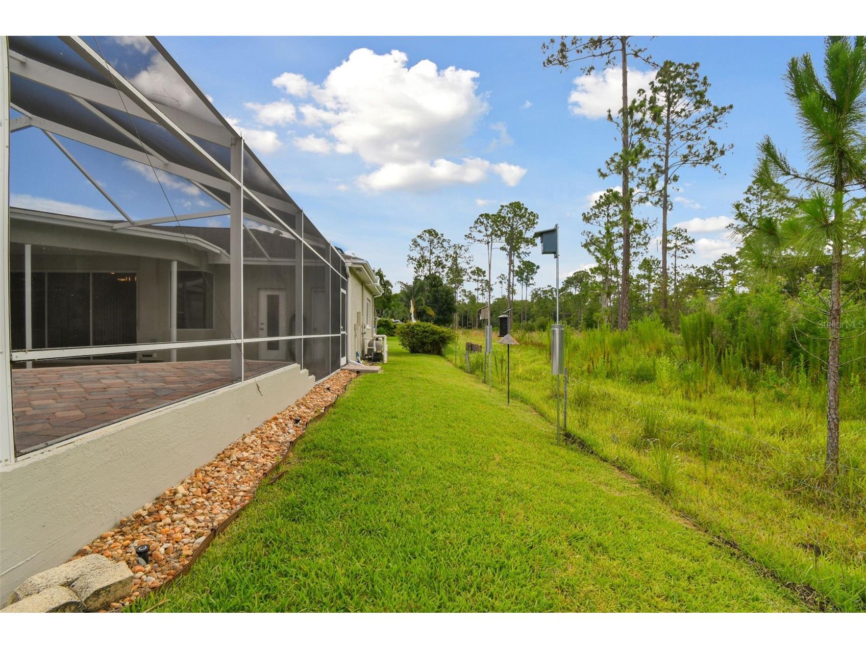 2159 Warwick Drive Oldsmar FL 34677 TB8486224 image38