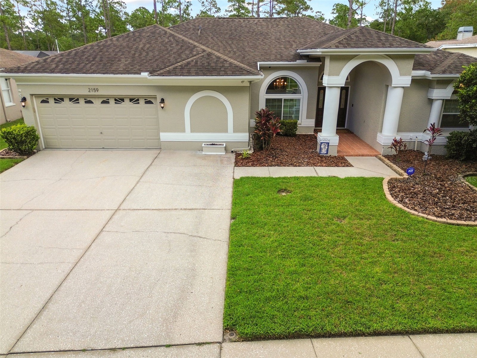 2159 Warwick Drive Oldsmar FL 34677 TB8486224 image40