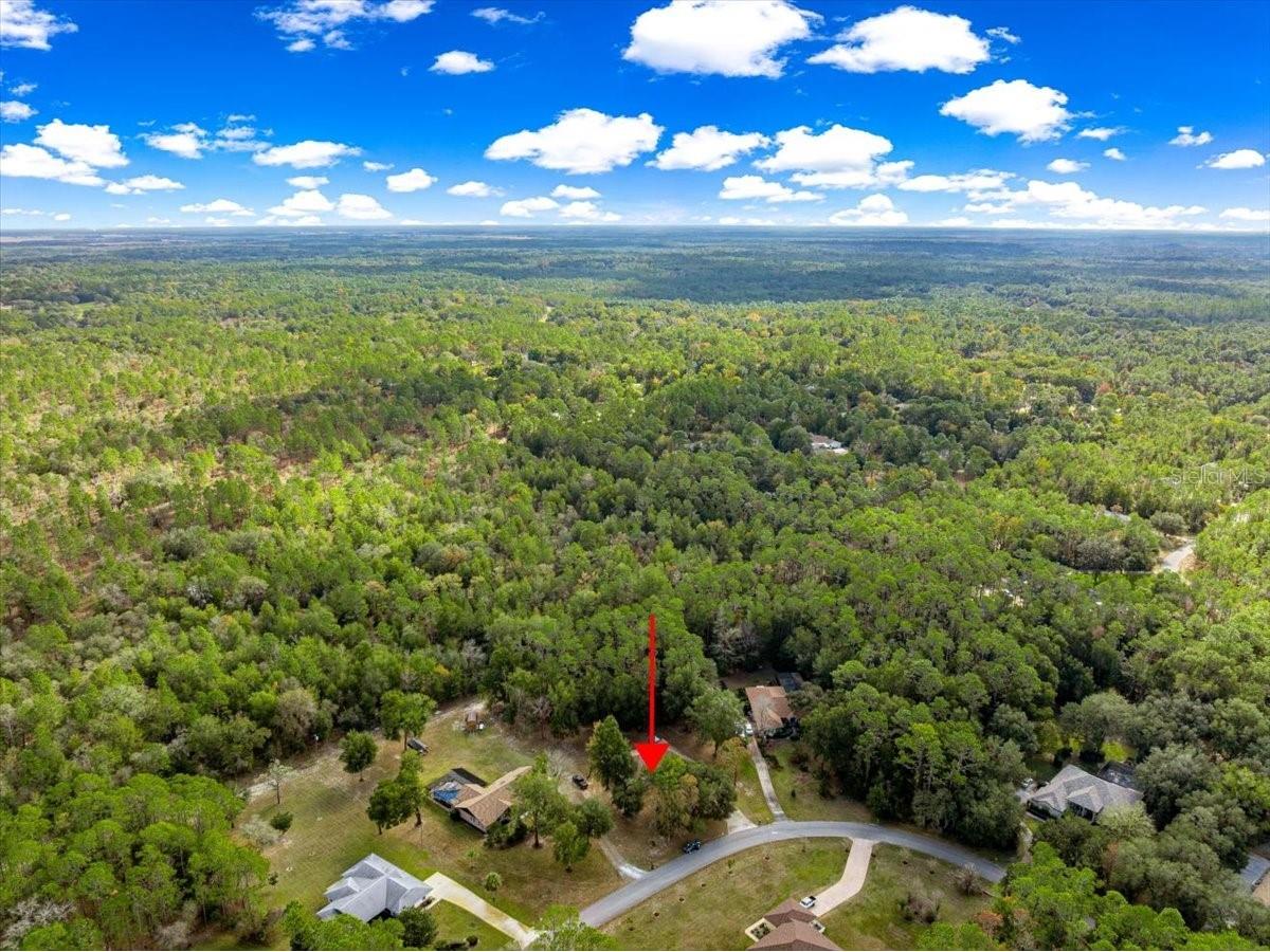 21595 SW 84th Loop Dunnellon FL 34431 OM714599 image60