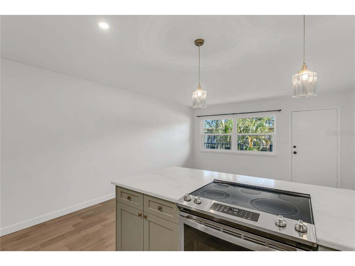 216 36th Avenue N #202B Saint Petersburg FL 33704 TB8391708 image13