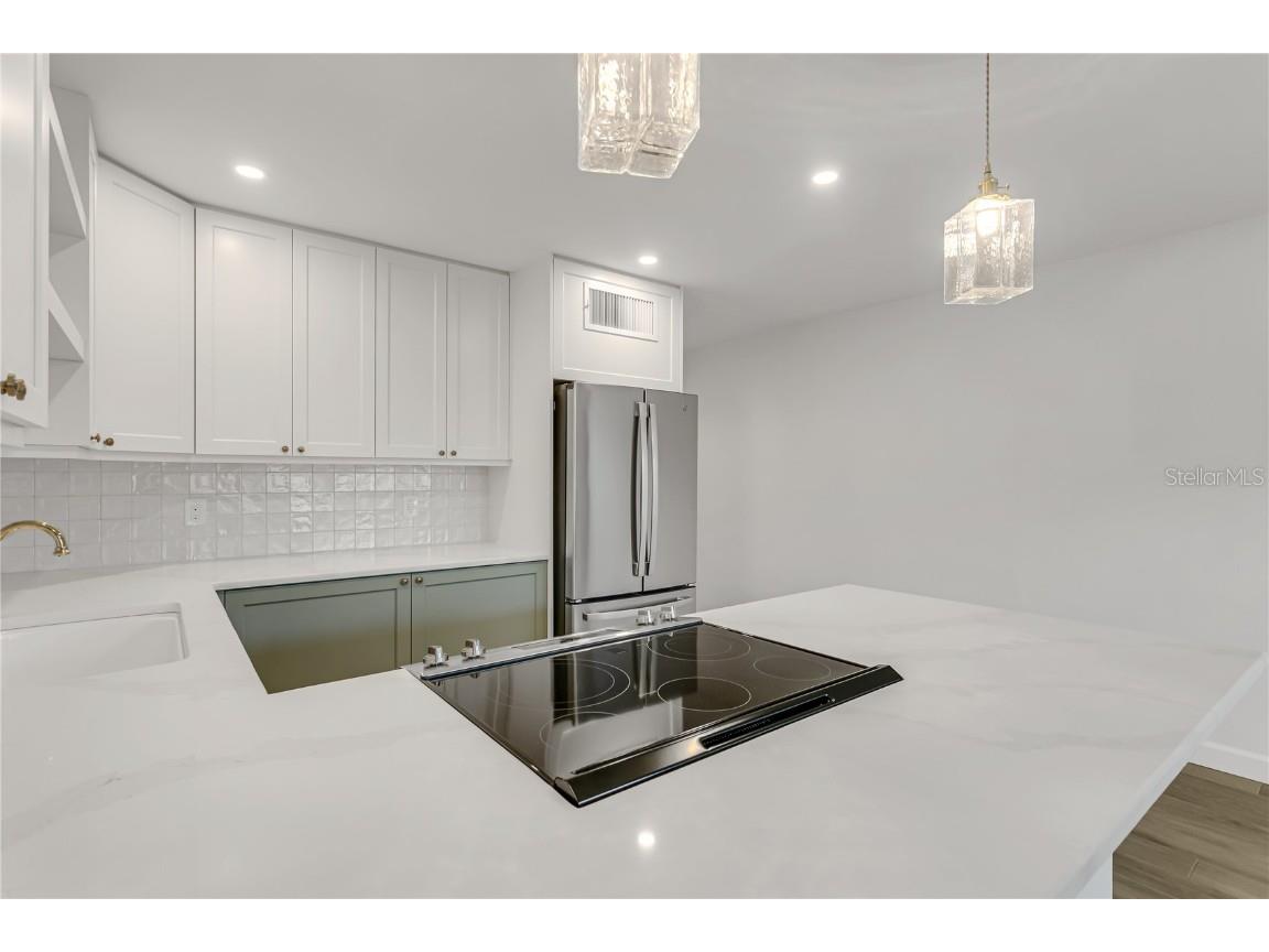 216 36th Avenue N #202B Saint Petersburg FL 33704 TB8391708 image18