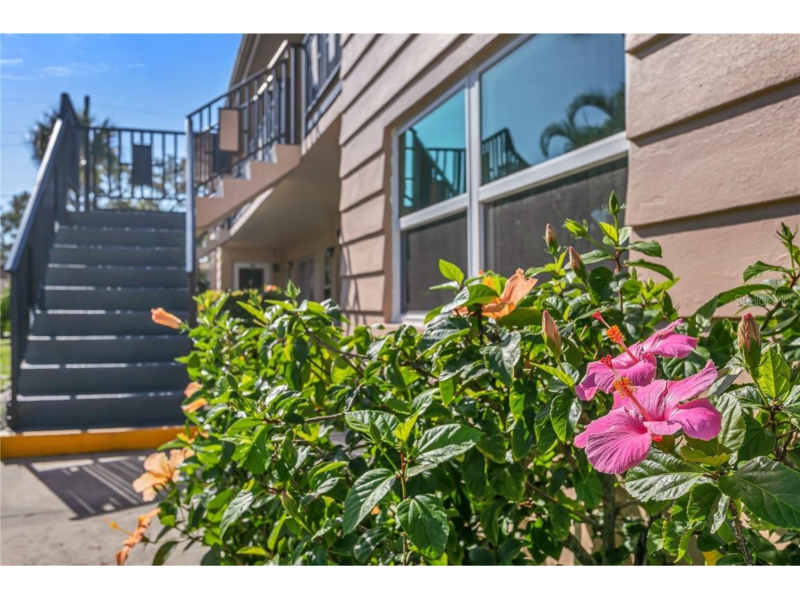 216 36th Avenue N #202B Saint Petersburg FL 33704 TB8391708 image3