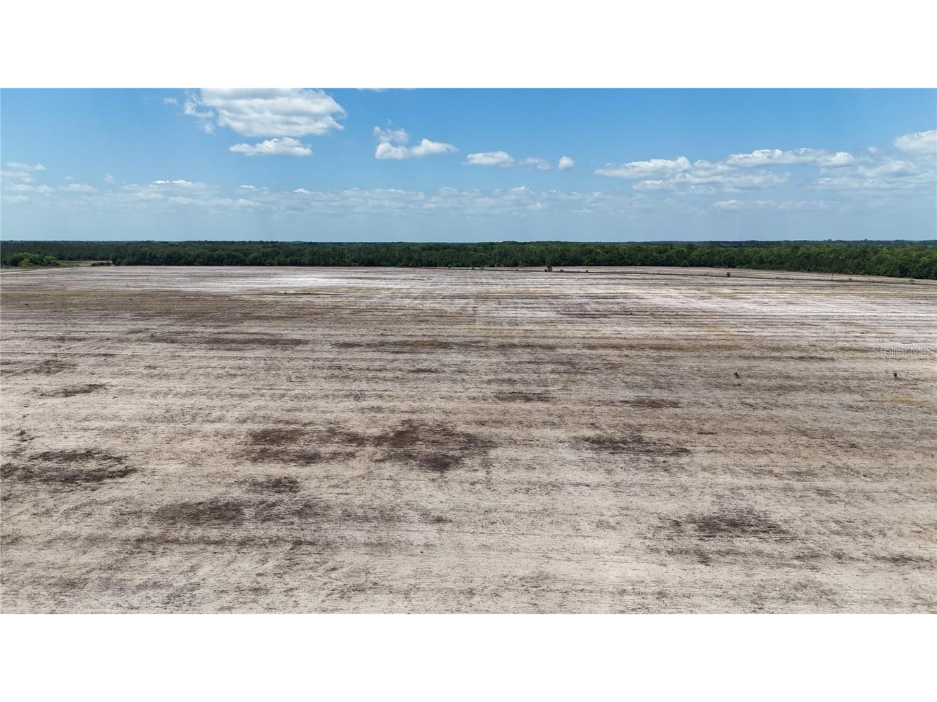 216.47ac NE 85th Ave Rd Citra FL 32113 OM680298 image1