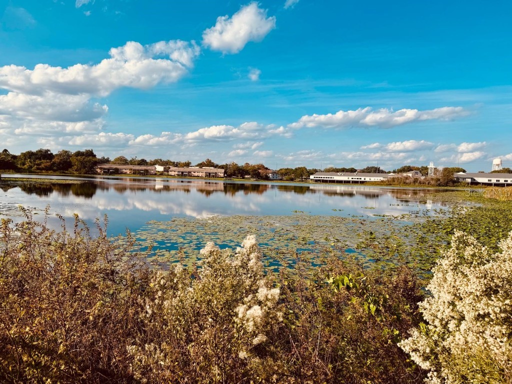 216 Afton Square #202 Altamonte Springs FL 32714 O6363205 image47