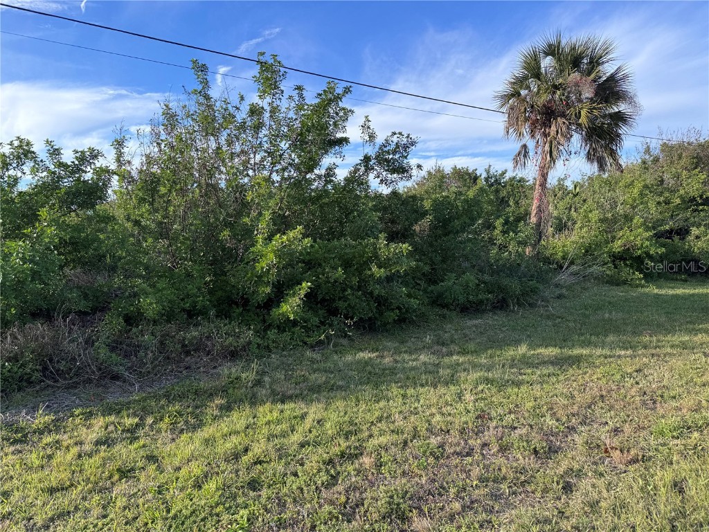 216 Antilla Drive Rotonda West FL 33947 GC527800 image3