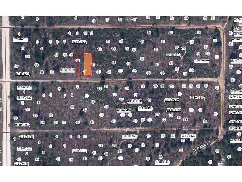 216 Birch Street Interlachen FL 32148 OM657571 image2