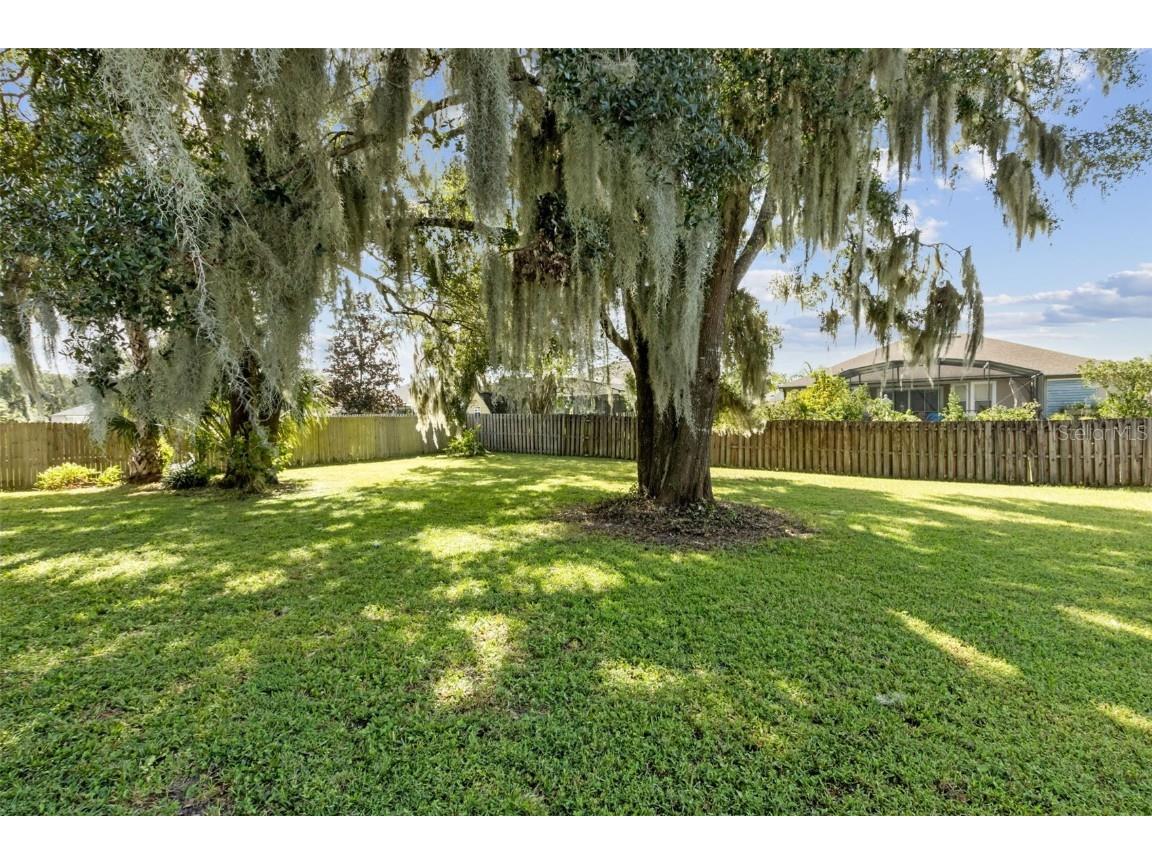 216 Blue Crystal Drive Deland FL 32720 V4945301 image46