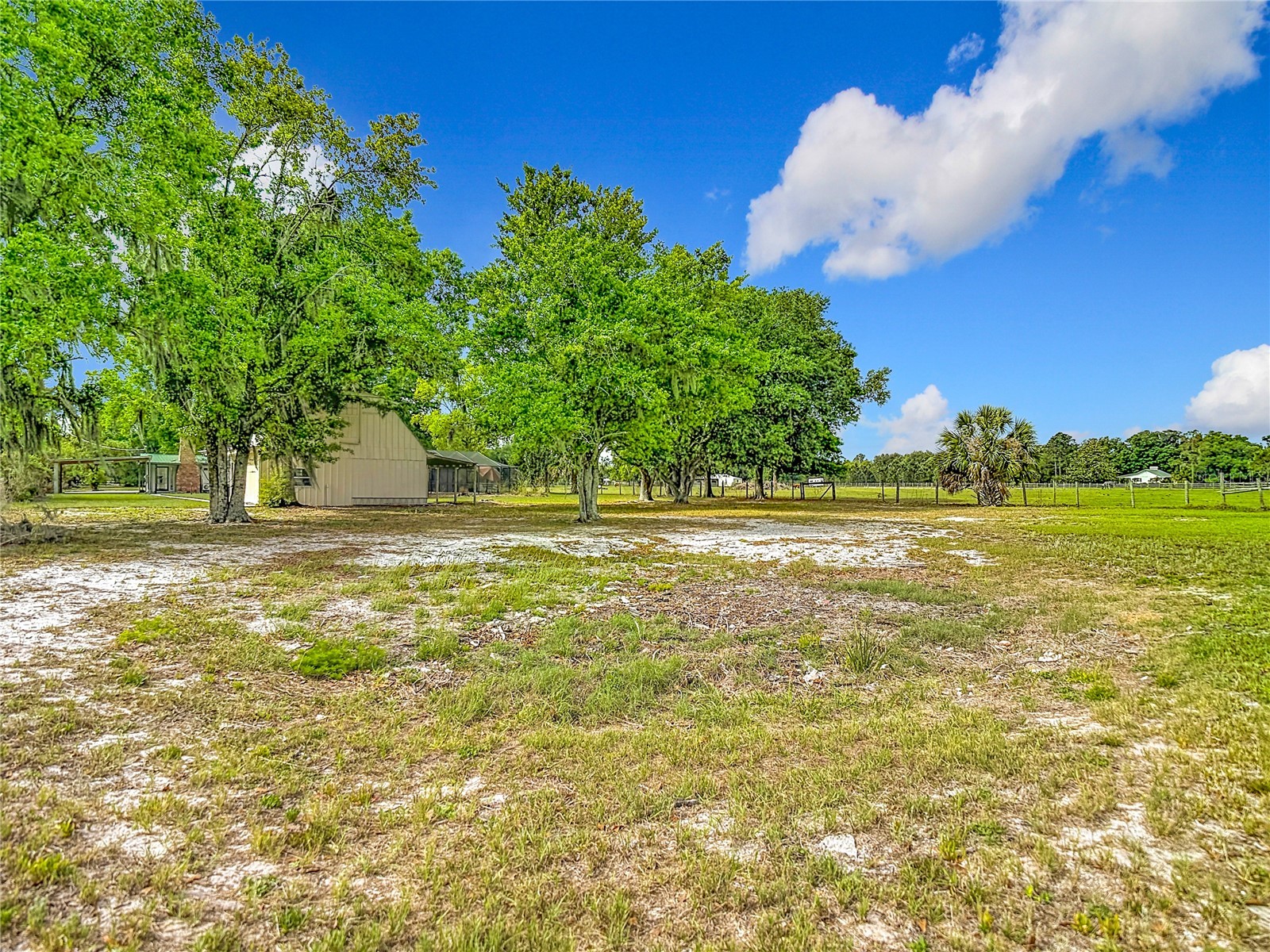 216 Corbett Road Lithia FL 33547 TB8492033 image91