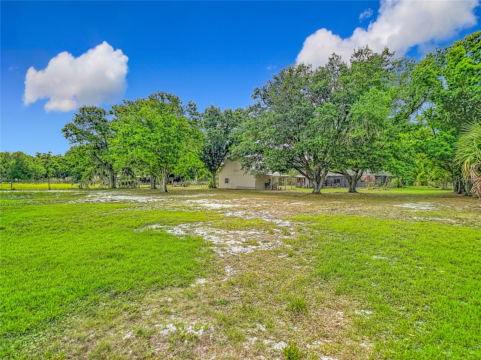 216 Corbett Road Lithia FL 33547 TB8492033 image92