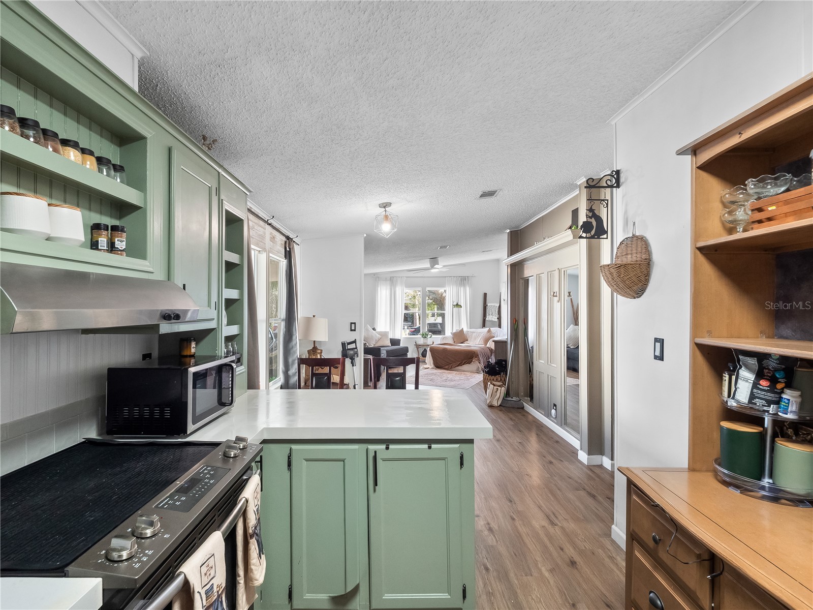 216 Ellsworth Drive Kissimmee FL 34758 S5142782 image6