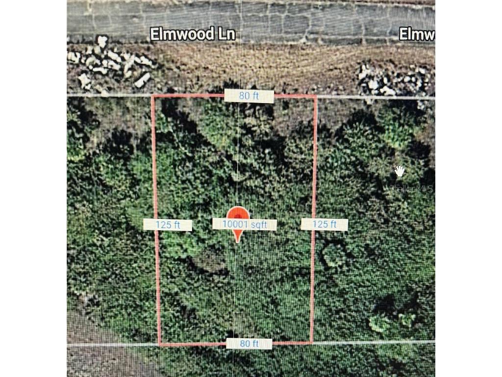 216 Elmwood Street Labelle FL 33935 G5082414 image2