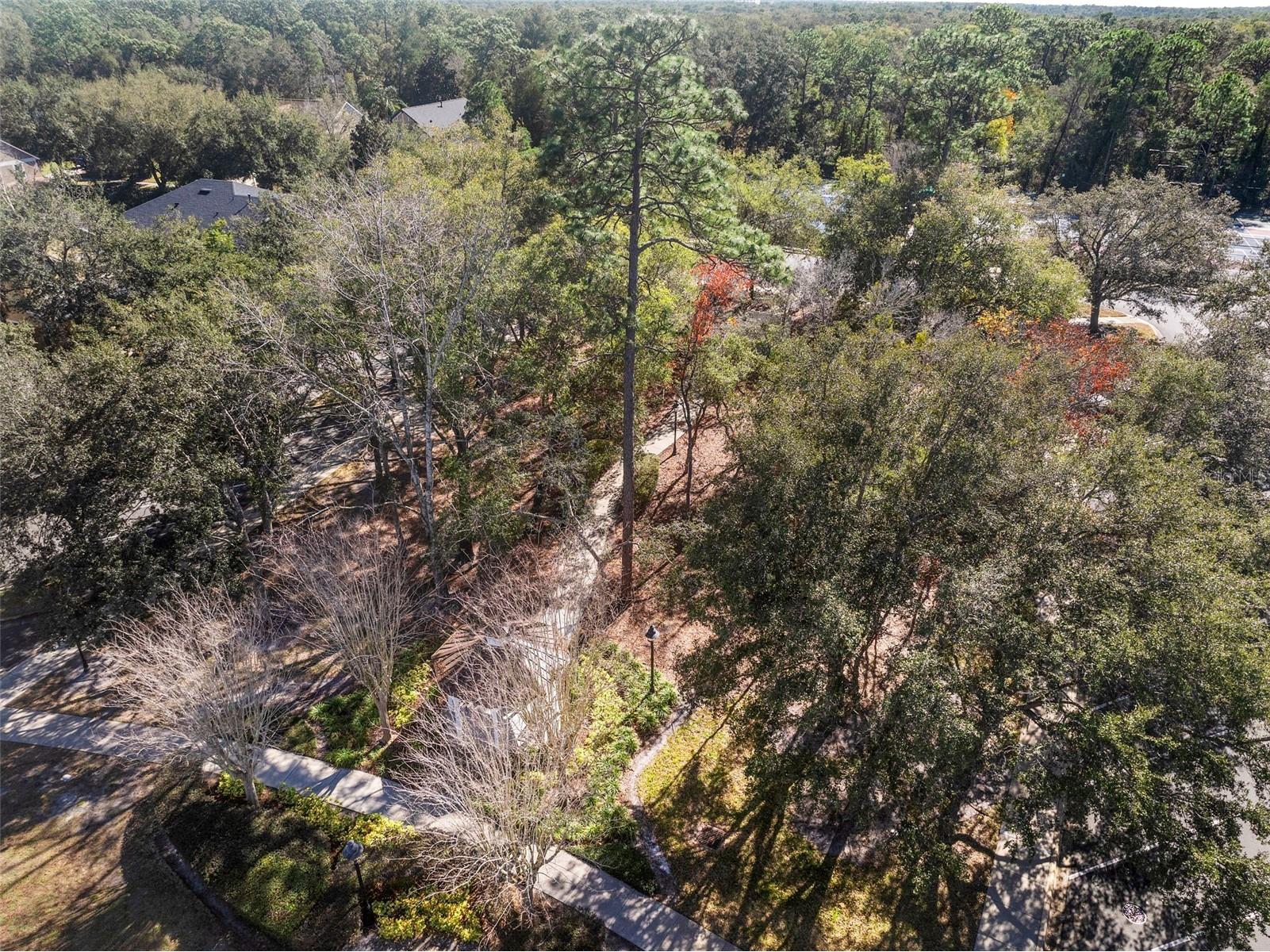 216 Foxglove Way Deland FL 32724 V4946750 image6