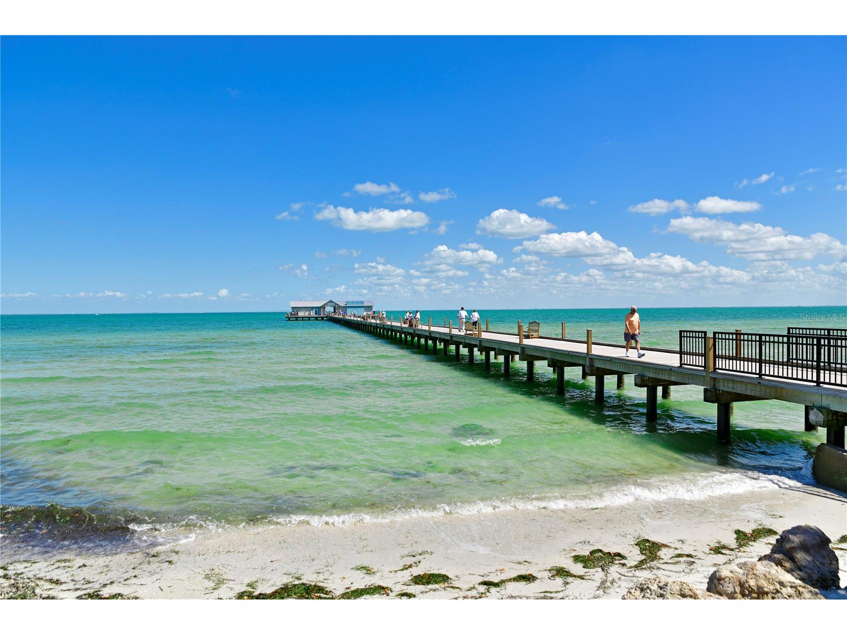 216 Gladiolus Street Anna Maria FL 34216 A4682103 image31