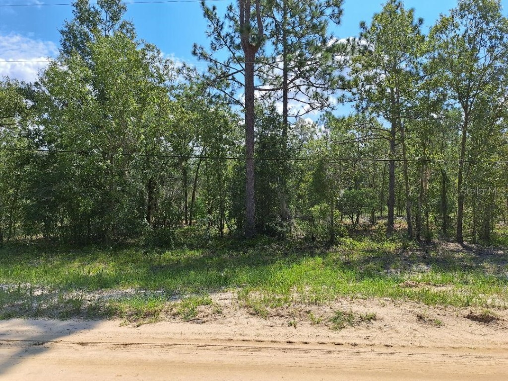 216 Highland Drive Hawthorne FL 32640 O6131771 image4