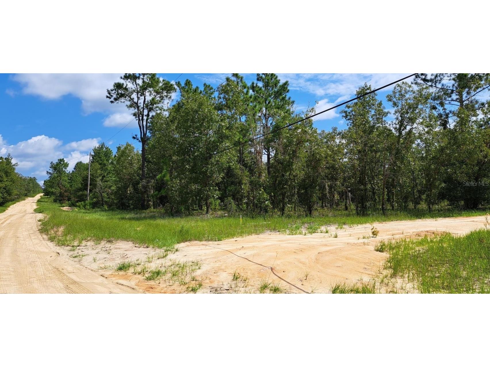 216 Highland Drive Hawthorne FL 32640 O6131771 image5