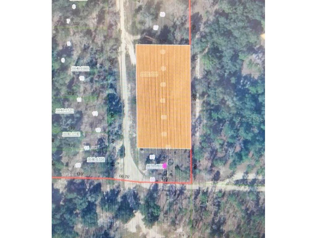 216 Highland Drive Hawthorne FL 32640 O6131771 image6