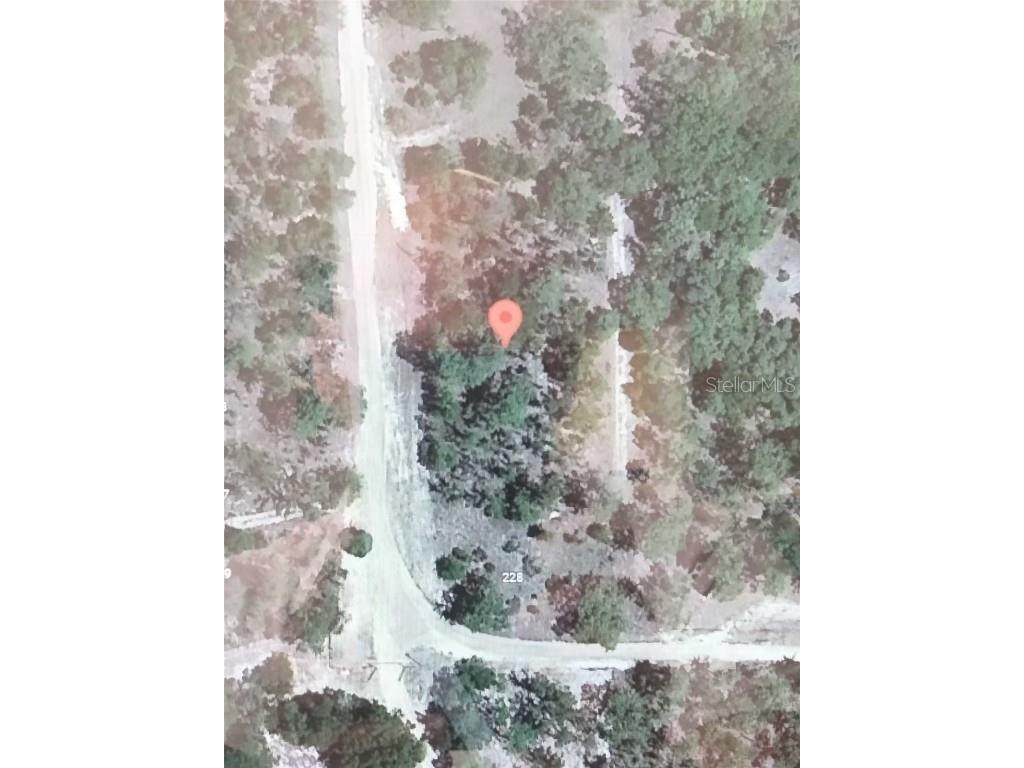 216 Highland Drive Hawthorne FL 32640 O6131771 image7