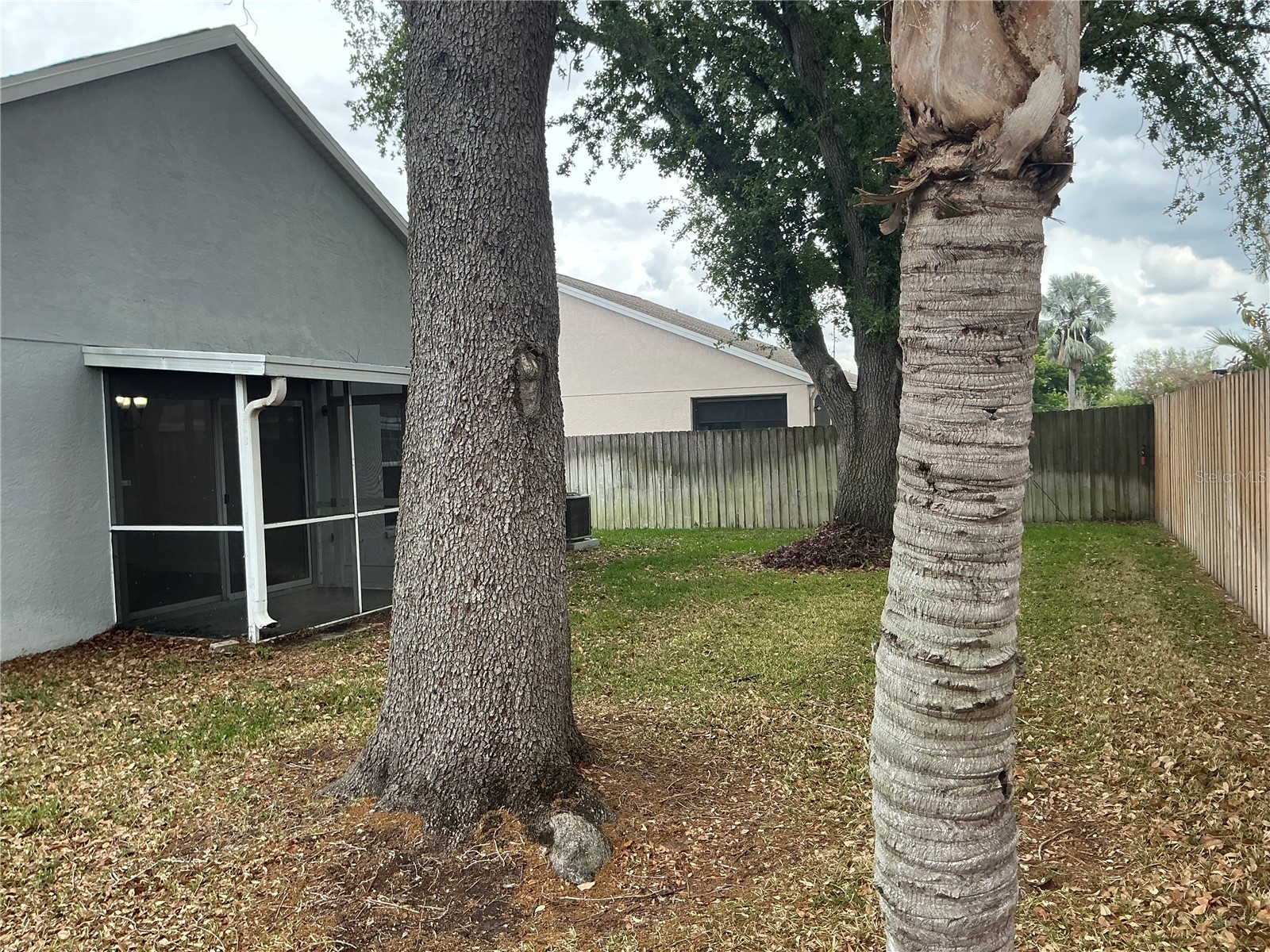 216 Island Water Way Apollo Beach FL 33572 TB8496294 image32