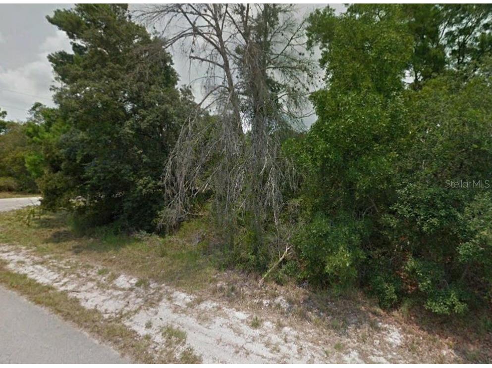 216 Java Avenue NE Lake Placid FL 33852 O6069340 image1