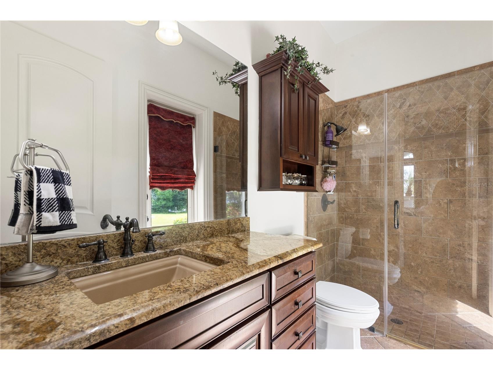 216 Lake Brant Drive Lutz FL 33548 - Brant Lake TB8507411 image43