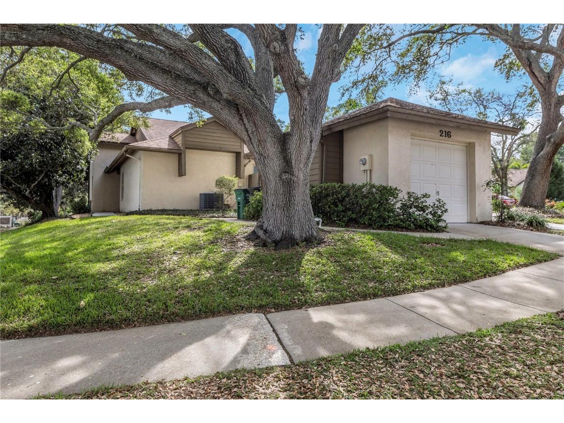 216 Lighthouse Court Safety Harbor FL 34695 U8233913 image1